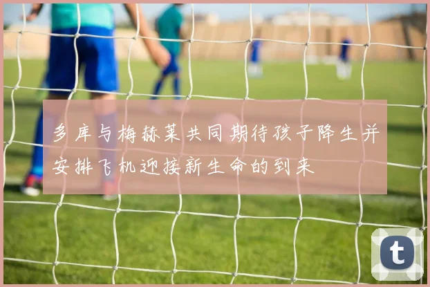 多库与梅赫莱共同期待孩子降生并安排飞机迎接新生命的到来